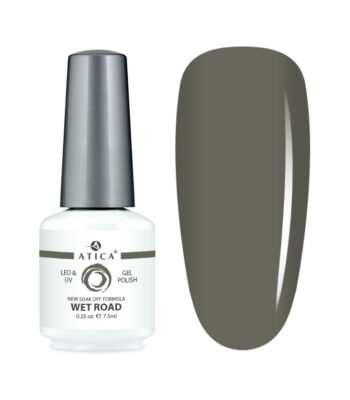 GPM250 Gel polish Wet Road